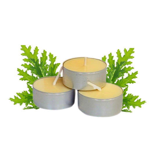 Natural Soy-Beeswax Citronella Tealights - Box of 15