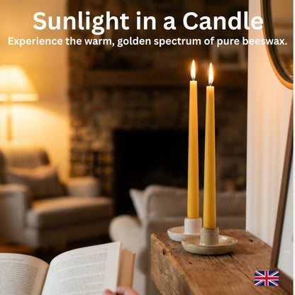 Close-up of two hand-dipped pure beeswax taper candles in a minimalist ceramic holder